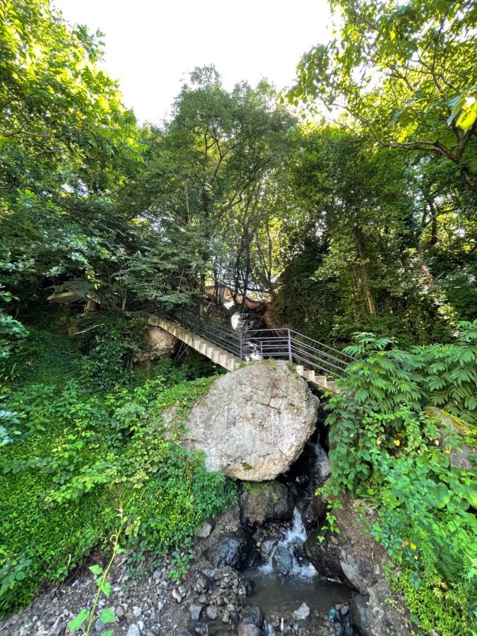 Hotel Biota Kvariati Dış mekan fotoğraf